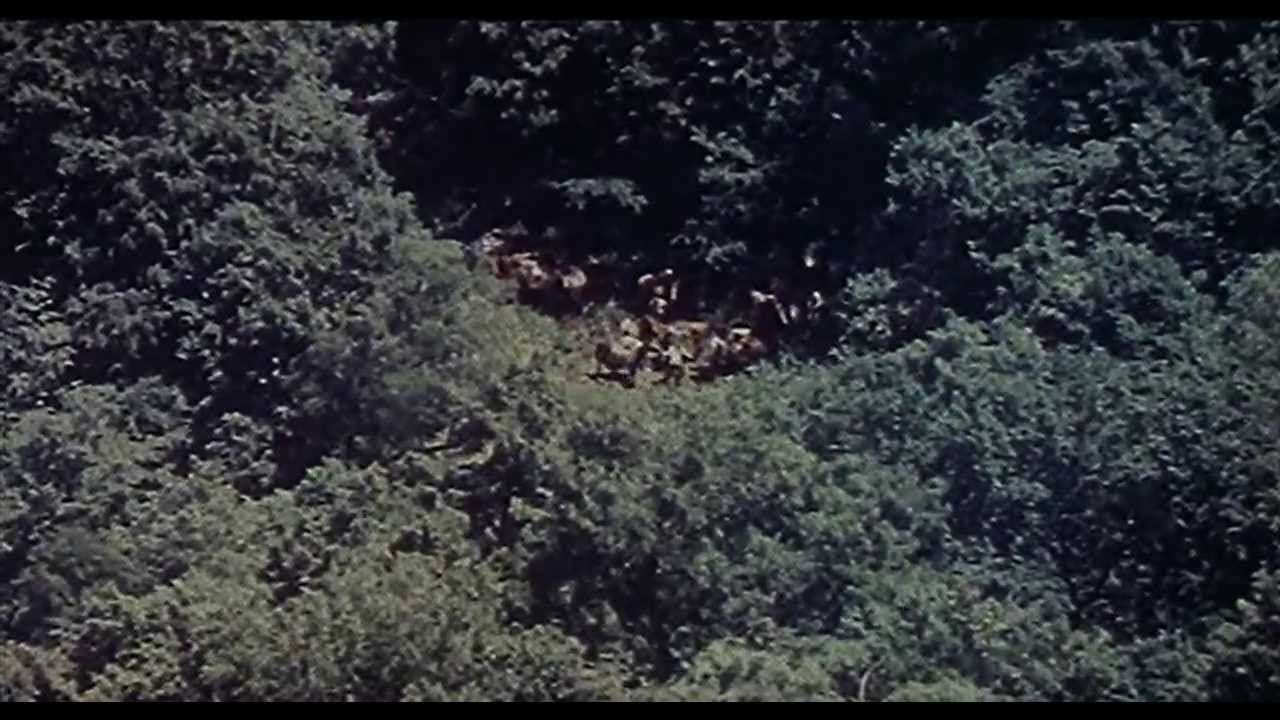 Dersu Uzala trailer thumbnail