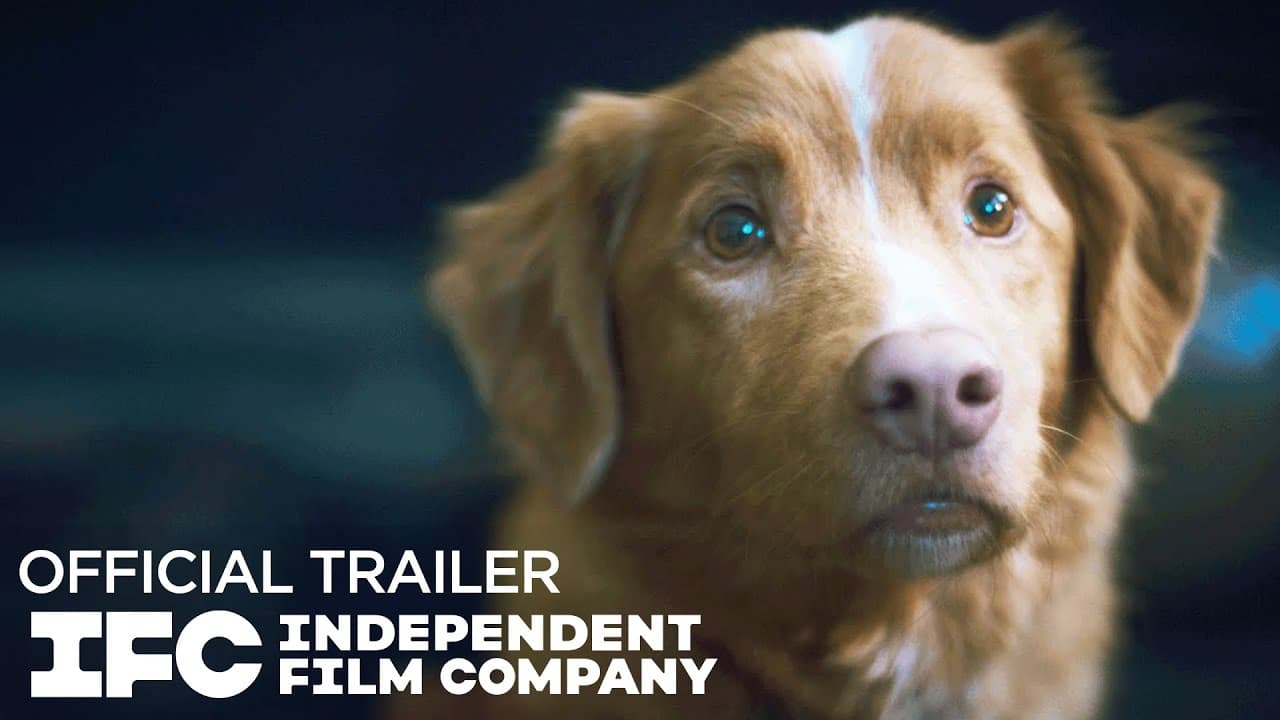 Good Boy trailer thumbnail