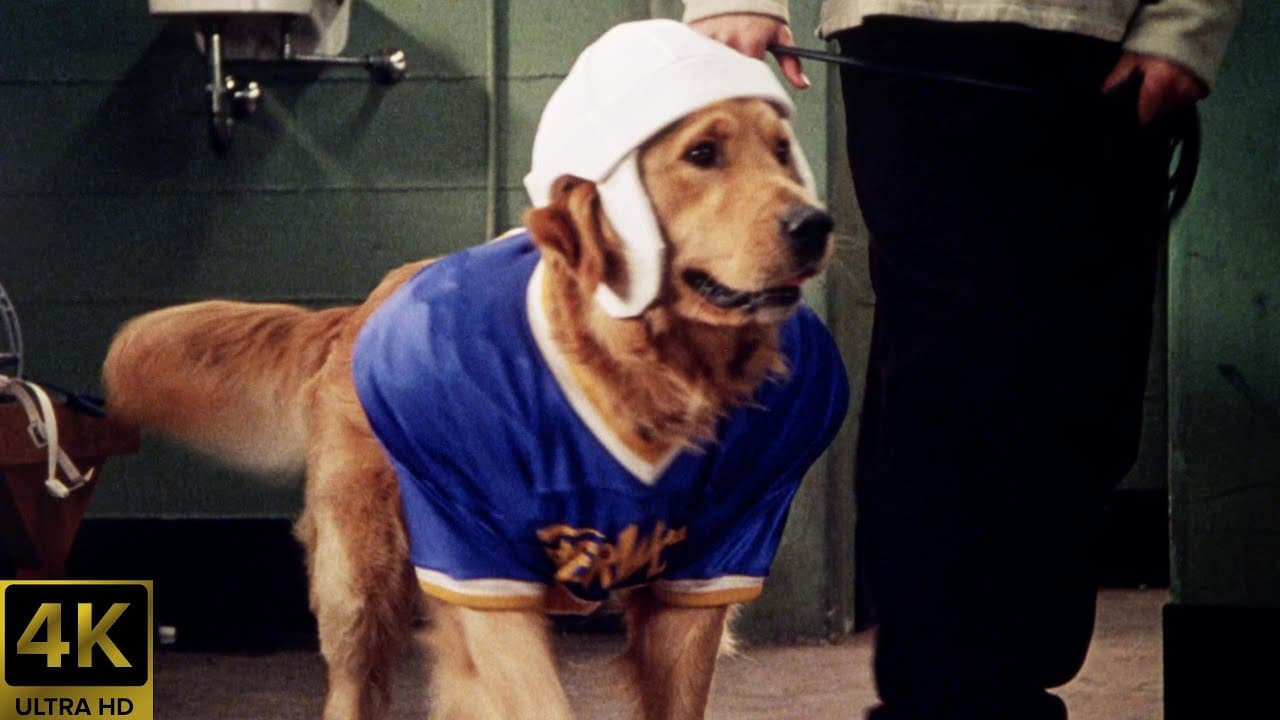 Air Bud: Golden Receiver trailer thumbnail