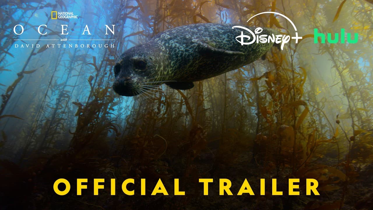 Ocean with David Attenborough trailer thumbnail