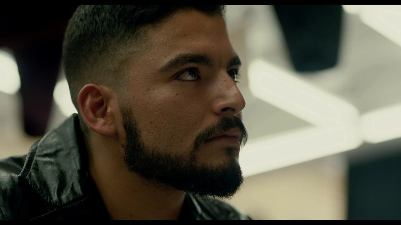 The Tax Collector trailer thumbnail