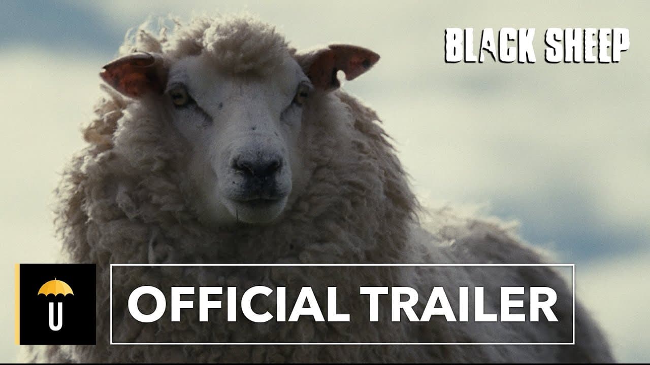 Black Sheep trailer thumbnail