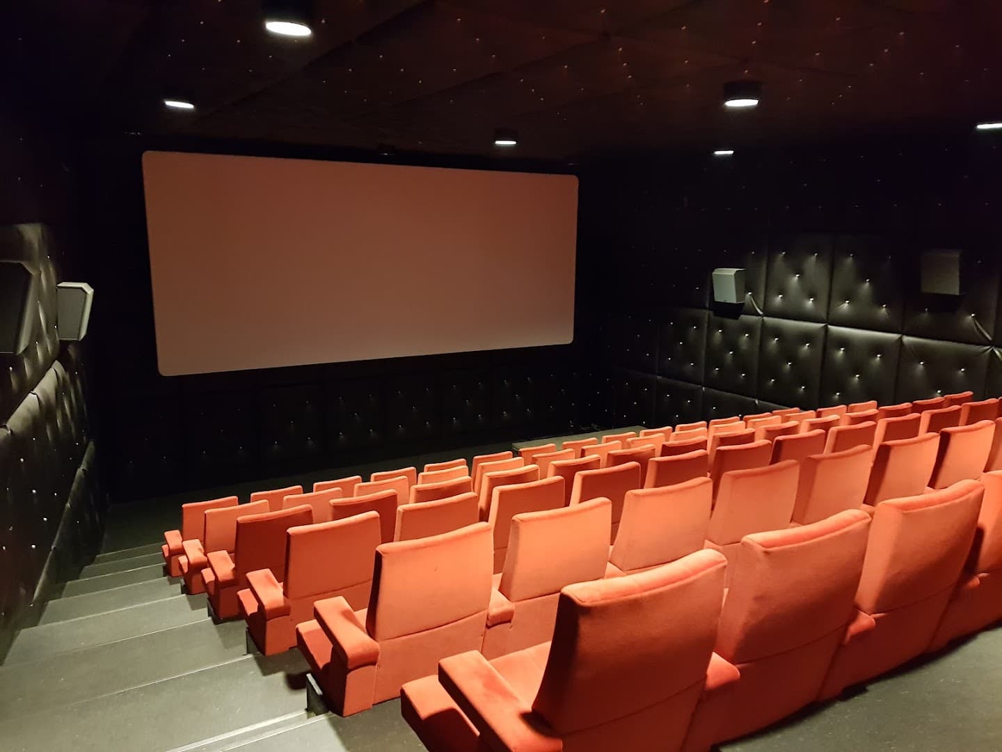Cinema ZED - STUK backdrop