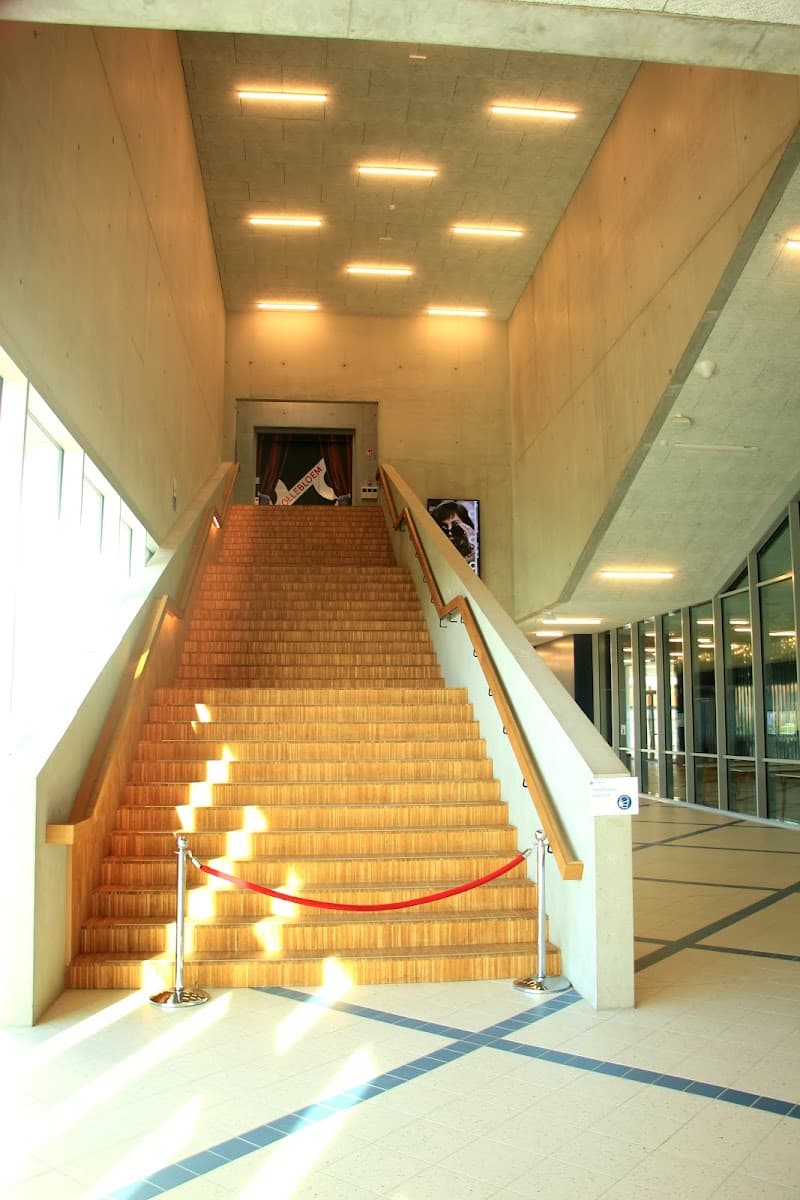 cc Binder - theaterzaal Kollebloem