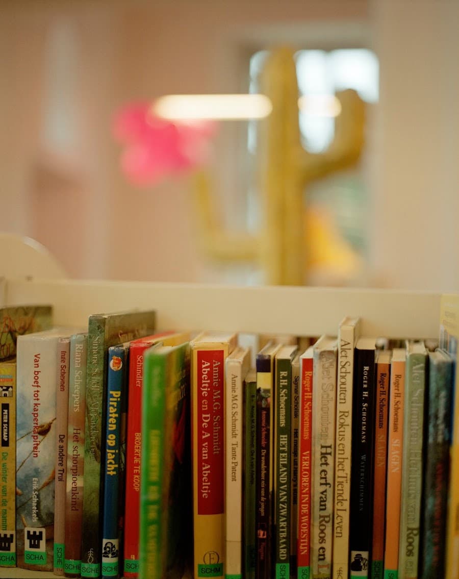 Library Kinrooi