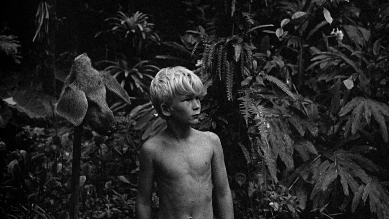 Lord of the Flies backdrop