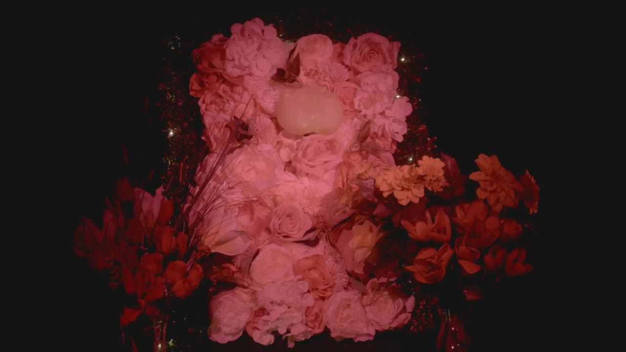 Dear Future Ejaculators backdrop
