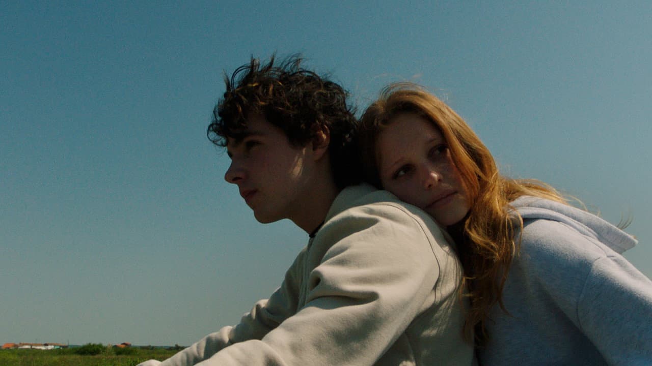 To Rosa: A Delicate Oyster-Farm Drama That Bites with Emotion