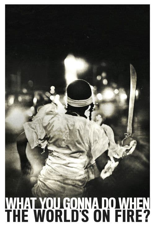 What you gonna do when the world's on fire ? - Roberto Minervini